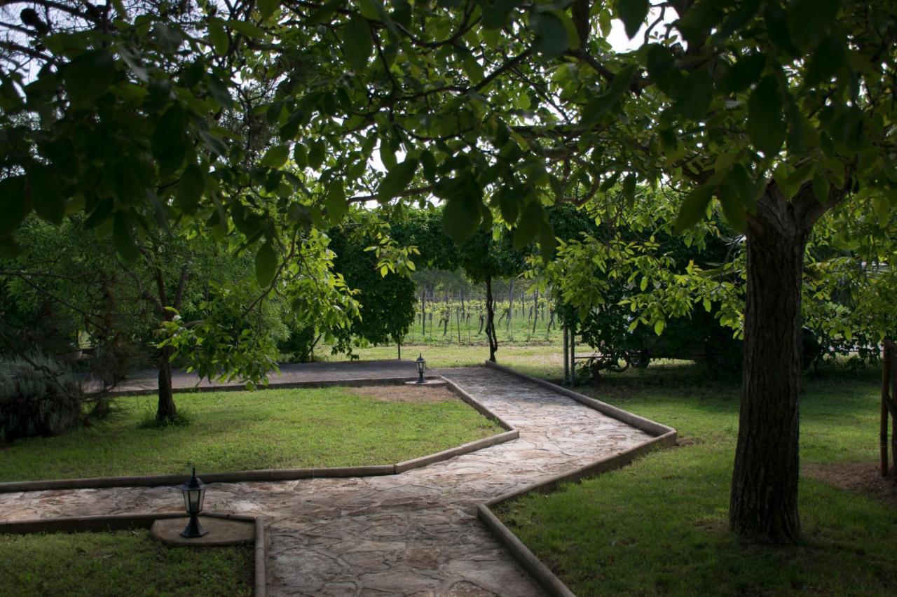 Sanja Apartments Sveti Servul Novigrad Istria Esterno foto