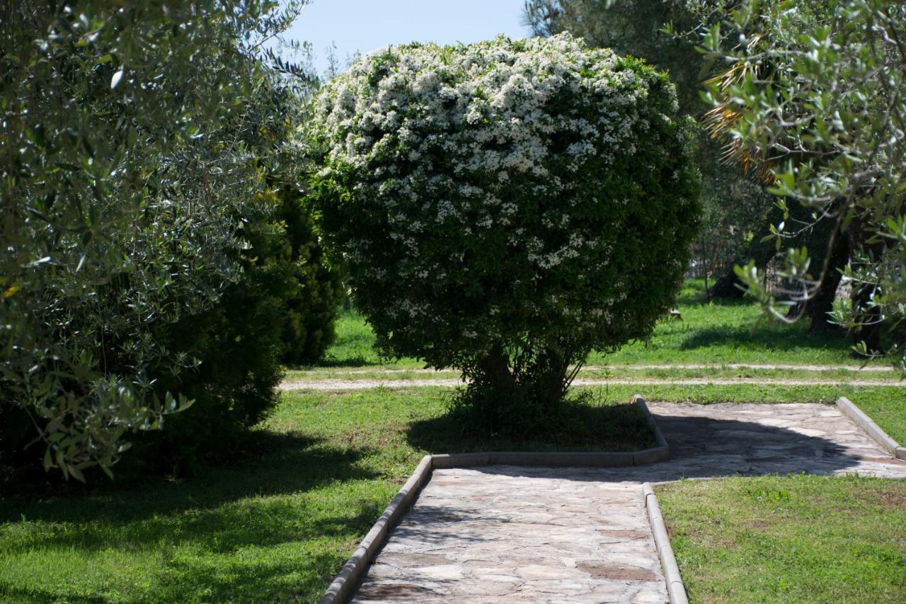 Sanja Apartments Sveti Servul Novigrad Istria Esterno foto